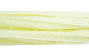 Soft Green Yellow Moonflower Bud Landscape 5