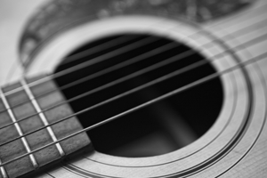 Guitar String Macro B&W