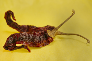 Two Red Hot Chilie Pepper on Yellow Landscape