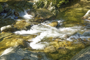 Rapid Water at the Glenn Moss Falls