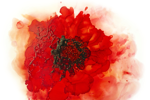Red Poppy Abstract Nr17 