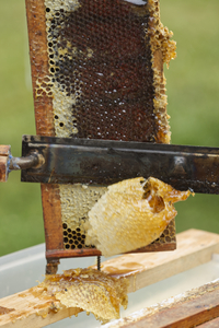 Uncapping Honeycomb Frame
