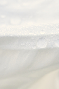 White Moonflower With Morning Dew 0831-4