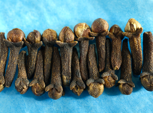 Whole Cloves Line on Blue