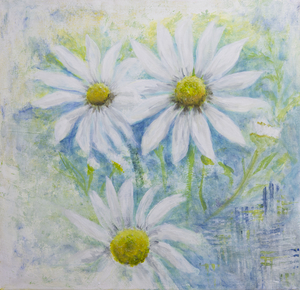 Daisies
