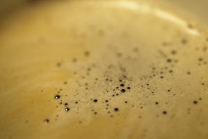 Fresh Coffee Crema Light