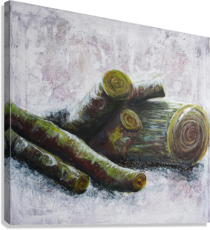 Woodstrumbs Canvas Print