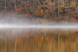 Fall Fog