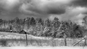 Snow in the pasture