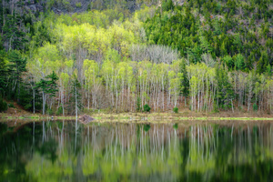 Beaver Dam Pond