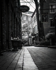 Commercial Alley