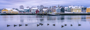 Frosted Waterfront Panoramic