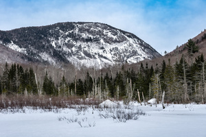 Frosty Crawford Notch