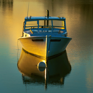 Golden Harbor