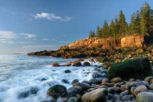 Monument Cove Morning