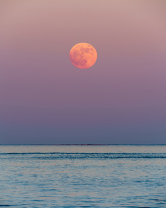 Ocean Moonrise
