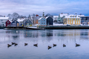 Frosted Waterfront