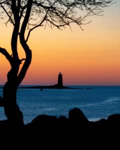 Whaleback and the Tree