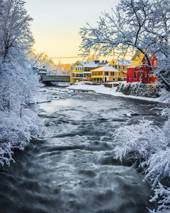 Winter Rush