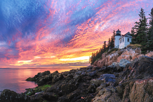 Bass Harbor Sunset Print