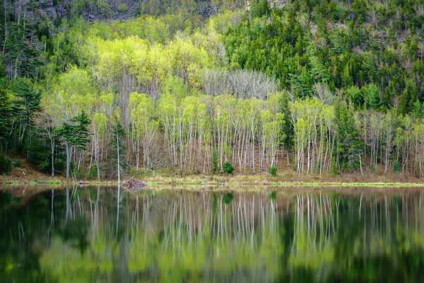 Beaver Dam Pond Print