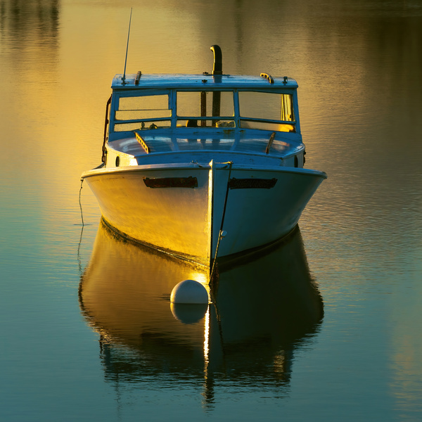 Golden Harbor Print