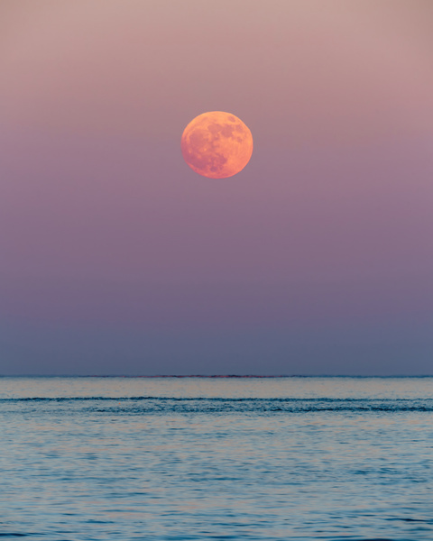 Ocean Moonrise Print