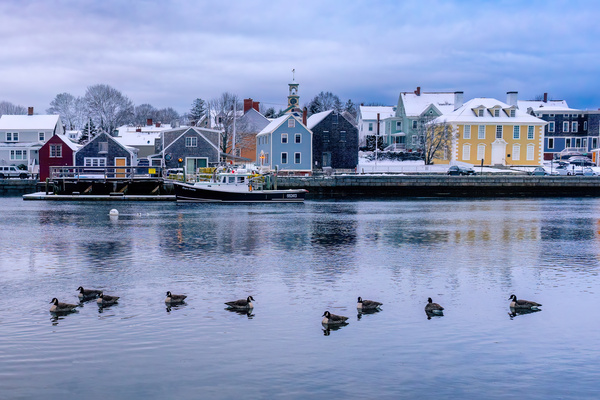 Frosted Waterfront Print