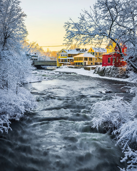 Winter Rush Print