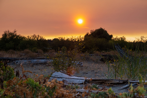 Boundry Bay Sunset