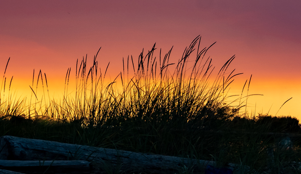 Beach Sunset by Deb Friesen