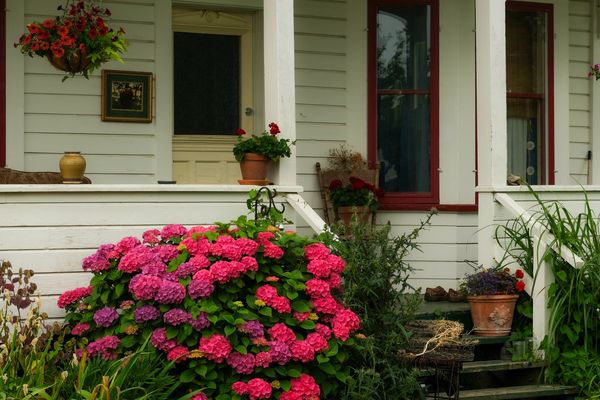 Front Porch Print