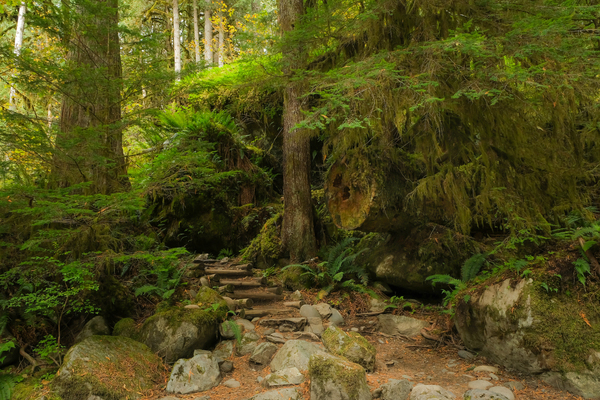 Riverbend Trail Print