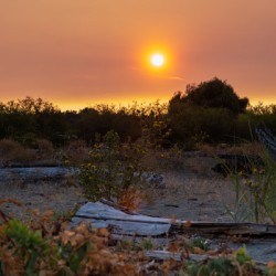 Boundry Bay Sunset