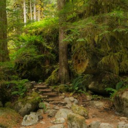 Riverbend Trail