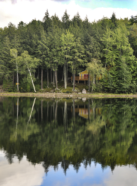The Reflection Print