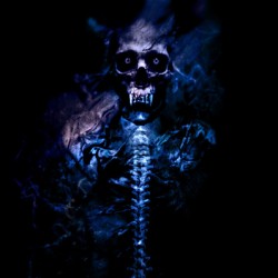 Blue Devil