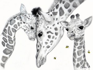Giraffe Family 