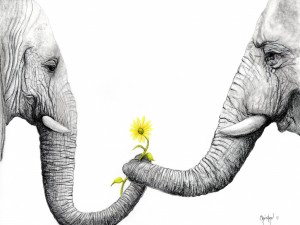 Up Close You Are More Wrinkly Than I Remember 