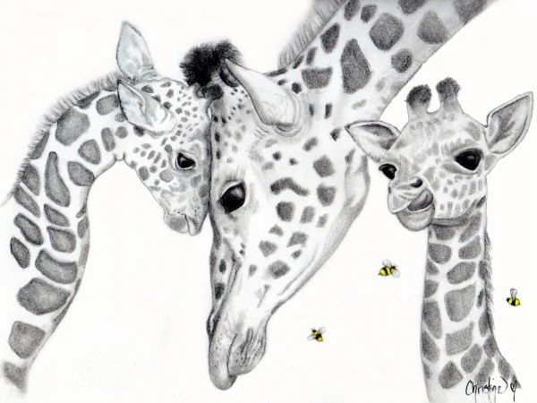 Giraffe Family  Print