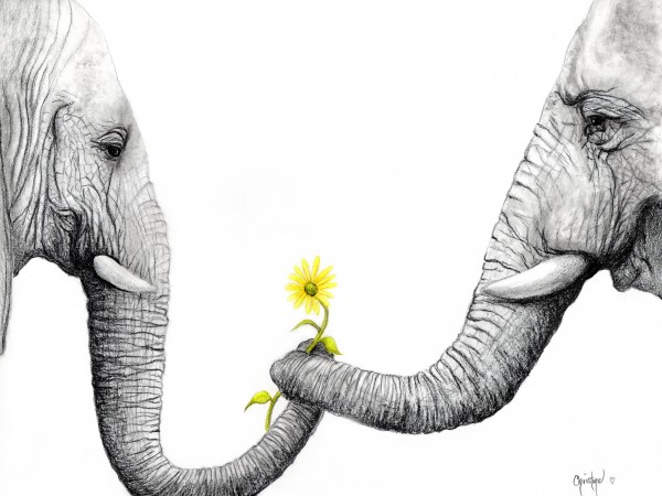 Up Close You Are More Wrinkly Than I Remember  by Christine Cholowsky