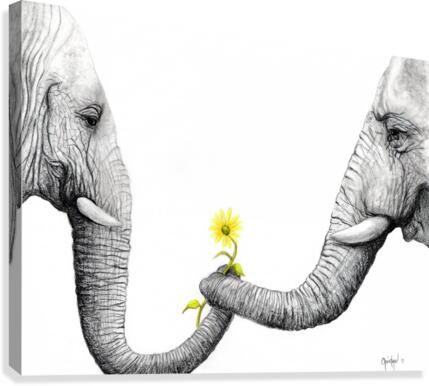 Up Close You Are More Wrinkly Than I Remember  Canvas Print