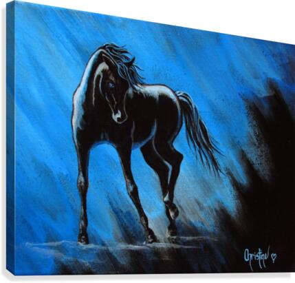 Midnight Blue  Canvas Print