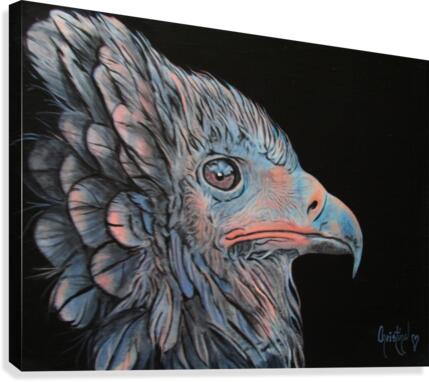 Insomniac Canvas Print