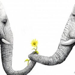 Up Close You Are More Wrinkly Than I Remember 