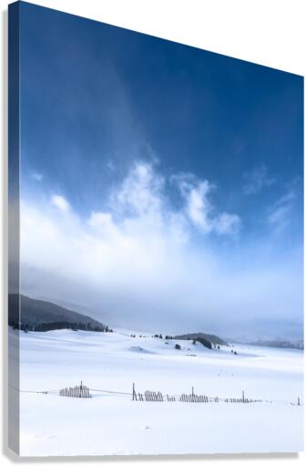 Fenced in Canvas Print