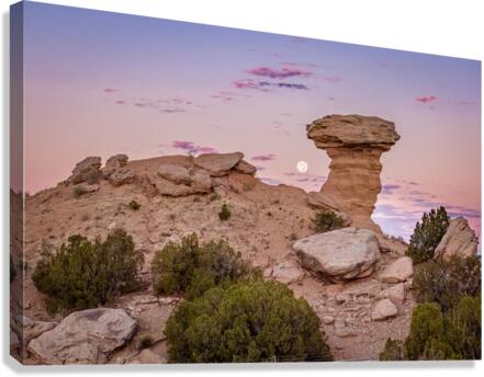 Camel Rock Canvas Print