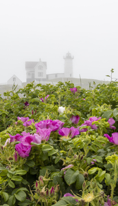 Nubble Lighthouse