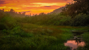 Adirondack Sunset