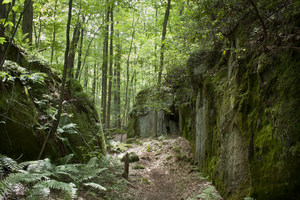 Mossy Rocks